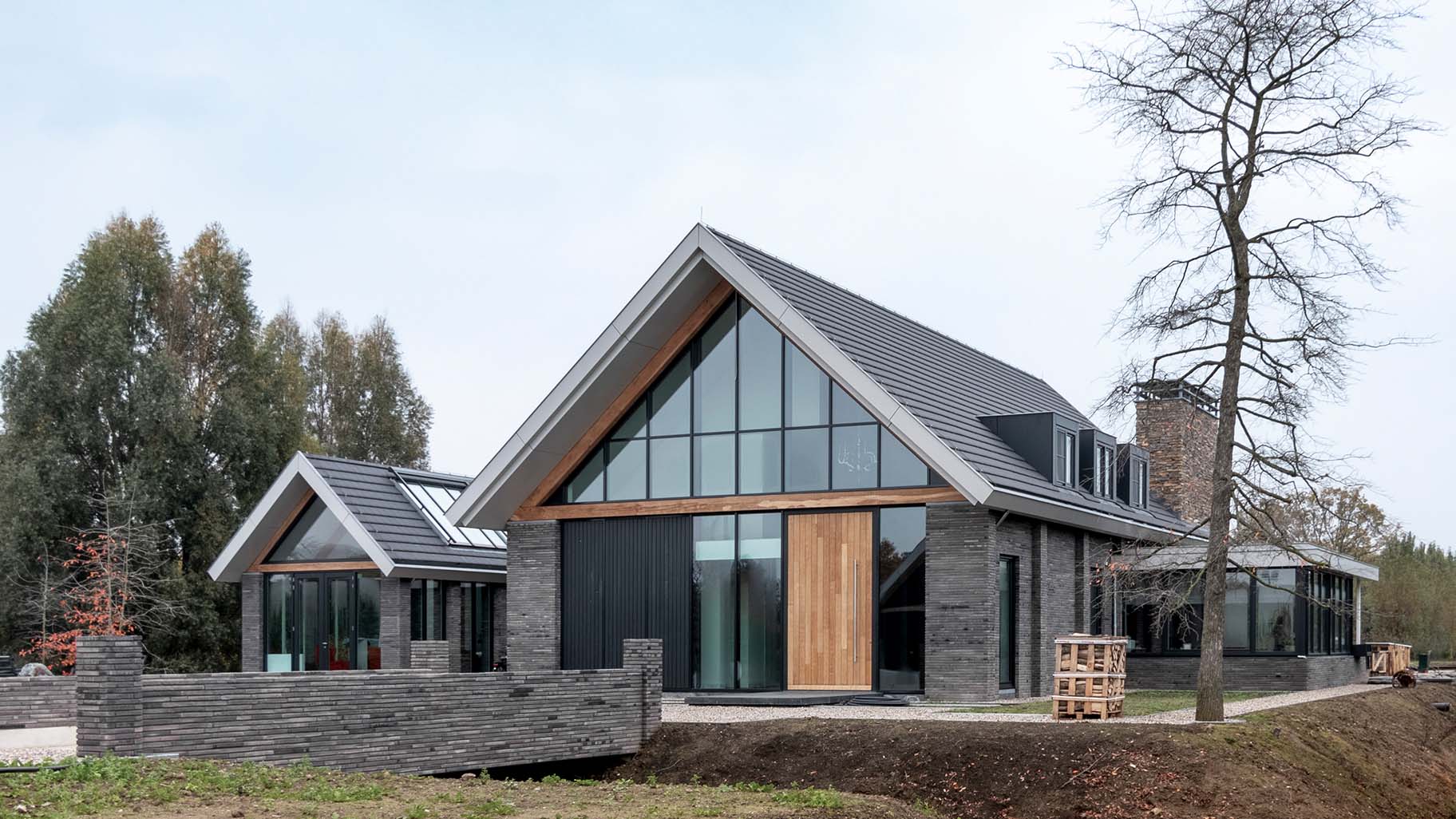 Moderne villa met hoge houten taatsdeur als opvallende voordeur