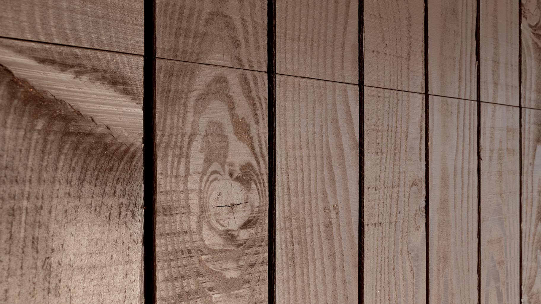 Bruin Douglas hout van dichtbij