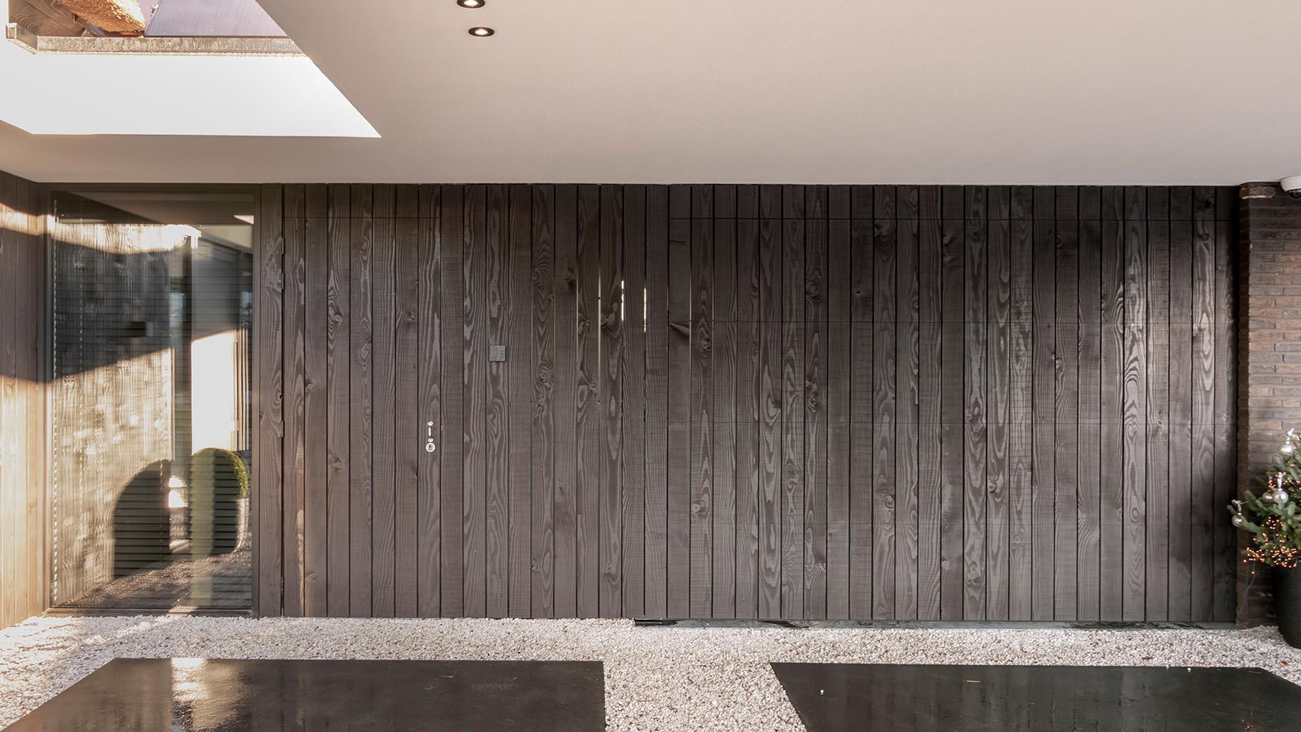 Bruin Douglas hout van dichtbij