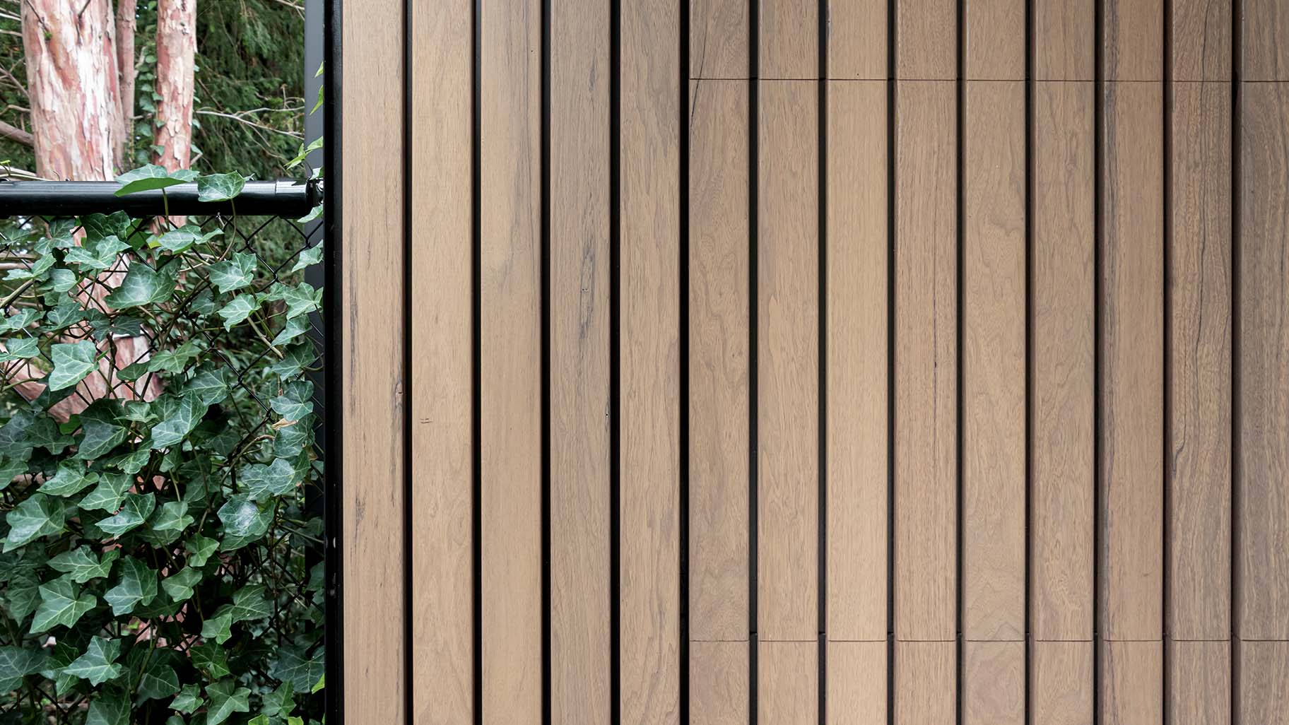 Close-up van Frake houten deur met zichtbare houtnerven en warme uitstraling