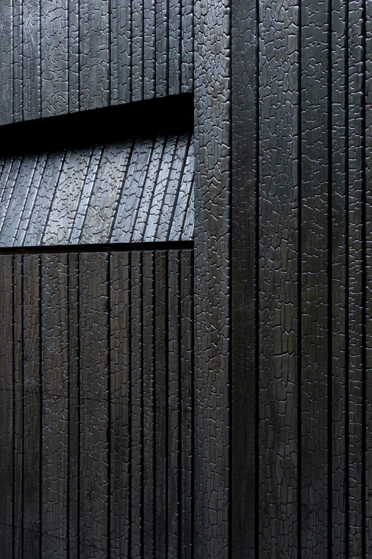 Shou Sugi Ban garagedeur verborgen in de gevel voor een strakke uitstraling