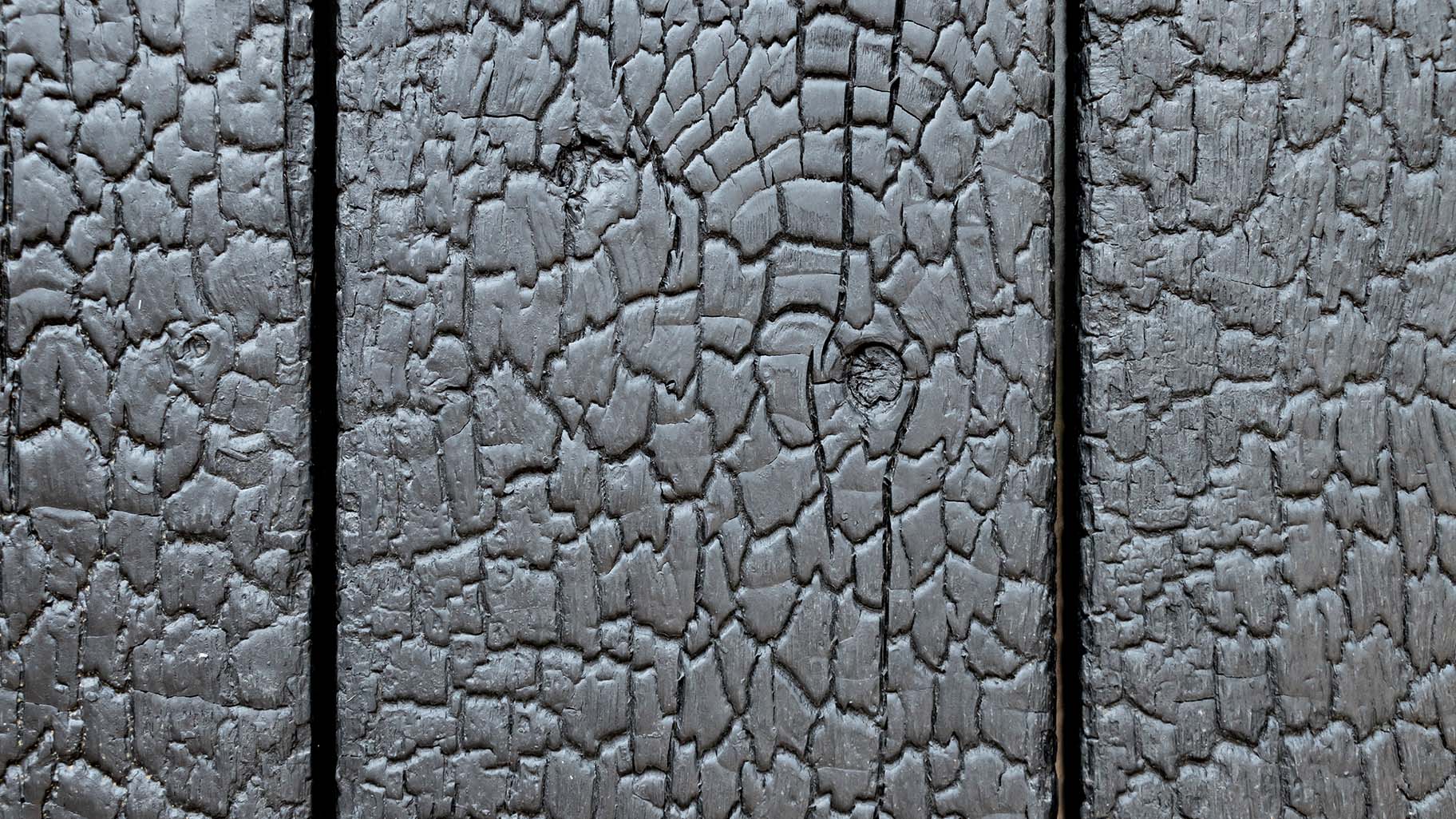 Shou Sugi Ban houten garagedeur, met de traditionele Japanse verbrandingstechniek voor een diepe zwarte kleur en unieke textuur